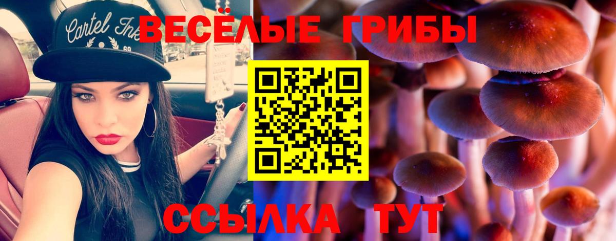 Галлюциногенные грибы GOLDEN TEACHER Обь